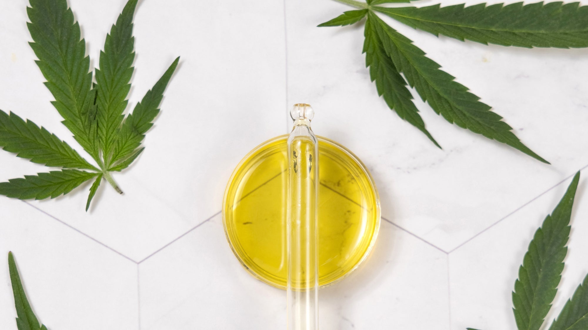 CBD Oil: The Ultimate Guide