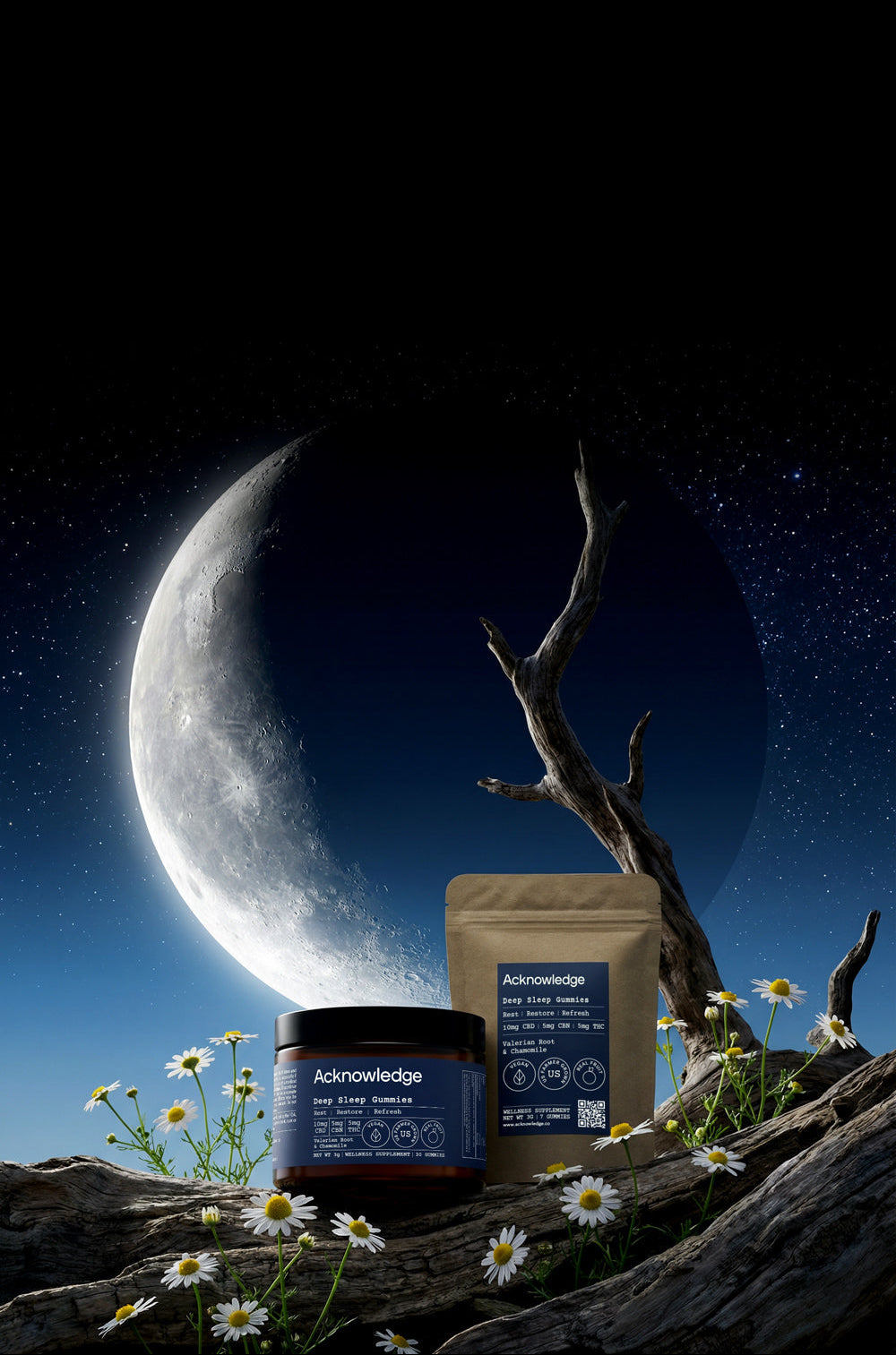 DeepSleep_moon_banner_mobile.jpg__PID:5514386c-a5c0-471e-86e3-7d93f02b2af1