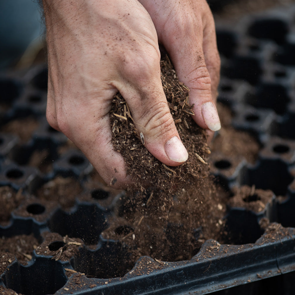 Hands preparing nutrient-rich organic soil for hemp cultivation on Acknowledge’s regenerative farm in Maryland.