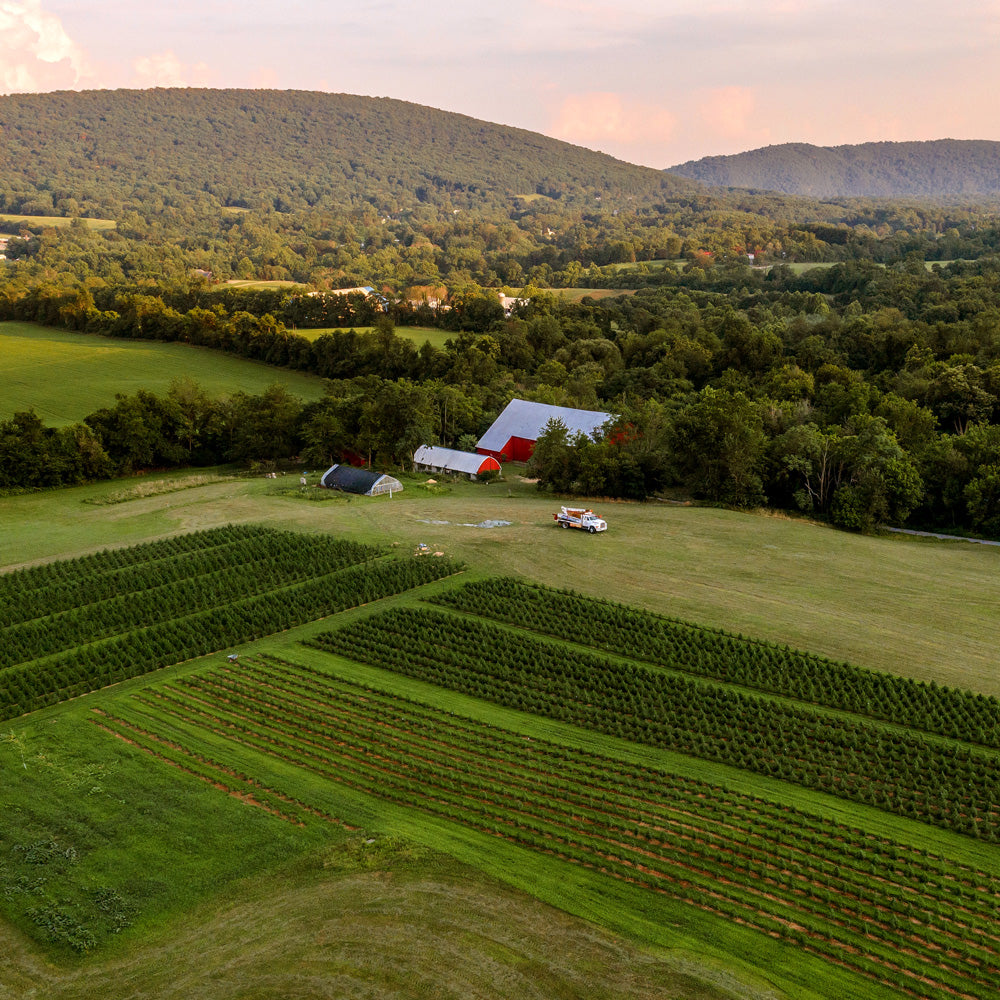 Aerial view of Acknowledge’s regenerative organic hemp farm in Maryland’s Pleasant Valley, growing single-origin hemp for CBD products.