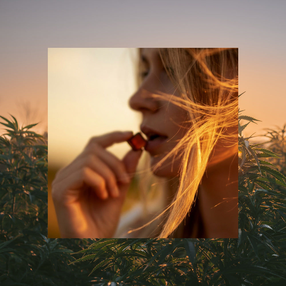 The Experience Bundle - THC Gummies - Acknowledge