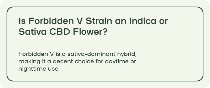 Is Forbidden V Strain an Indica or Sativa CBD Flower?