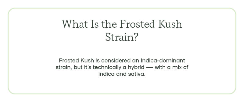 What Is the Frosted Kush Strain?