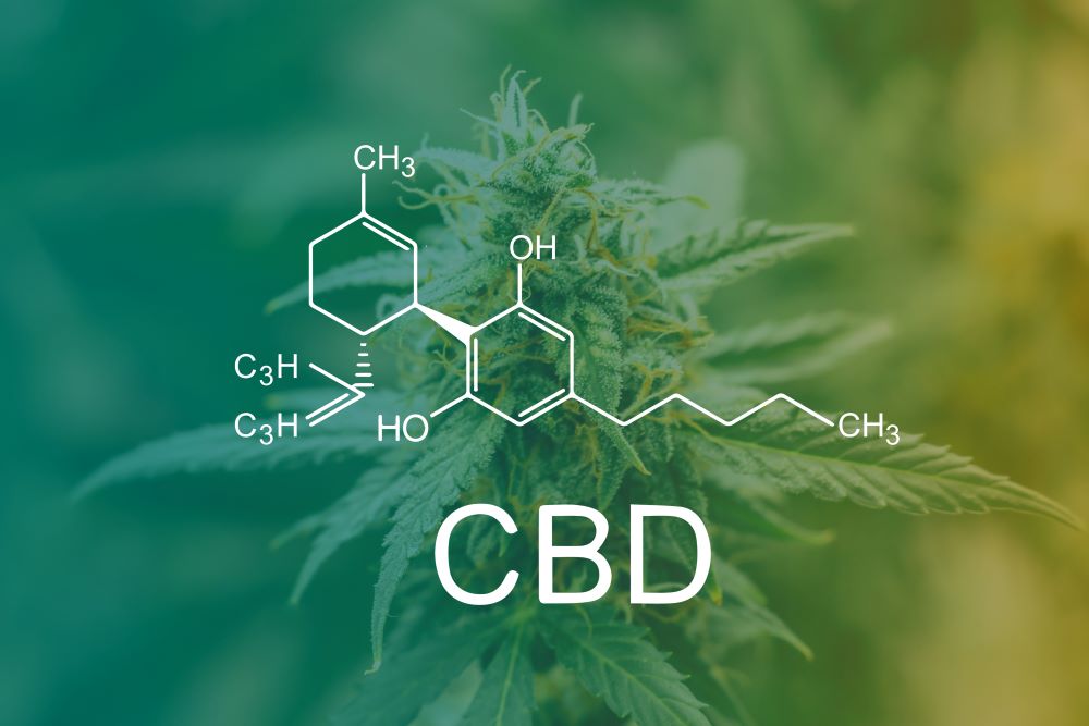 a graphic representing the effects of cbd