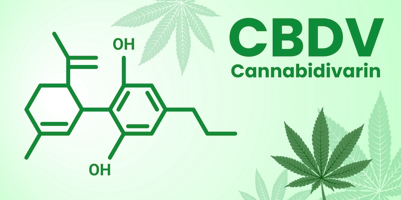 The molecular formula of Cannabidivarin or cannabidivarol CBDV - non-psychoactive cannabinoid from cannabis plant. Vector banner of a formula with title and marihuana leaf on the light background.